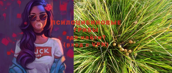прущий лед Семёнов
