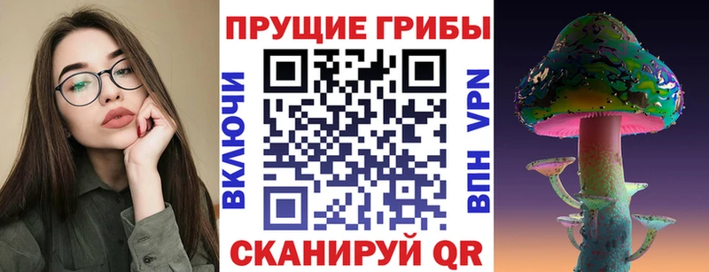Псилоцибиновые грибы GOLDEN TEACHER Томари